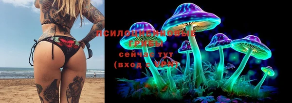 меф Алексин