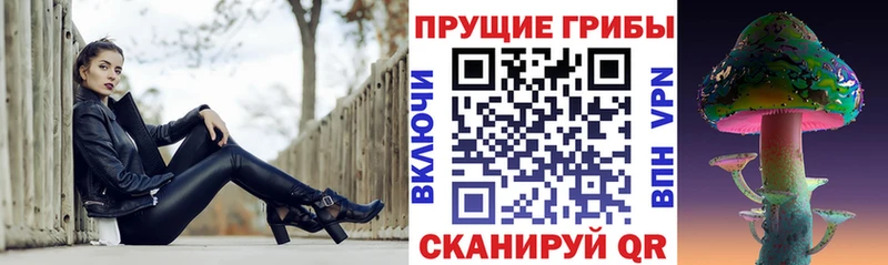 Галлюциногенные грибы Cubensis  shop Telegram  Каменногорск 